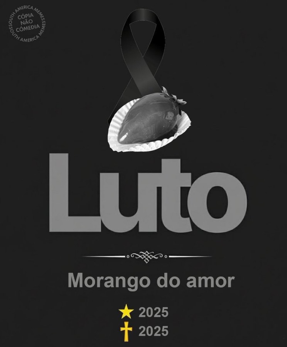 serirvaipinfern's tweet image. 