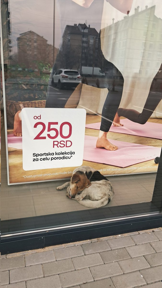 Pepco u Zaječaru 😊
#Pepco #Zaječar