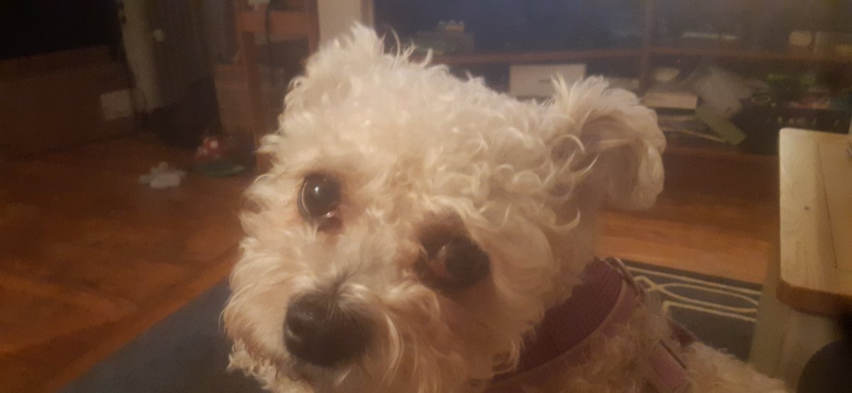 Ian O'Doherty tweet media