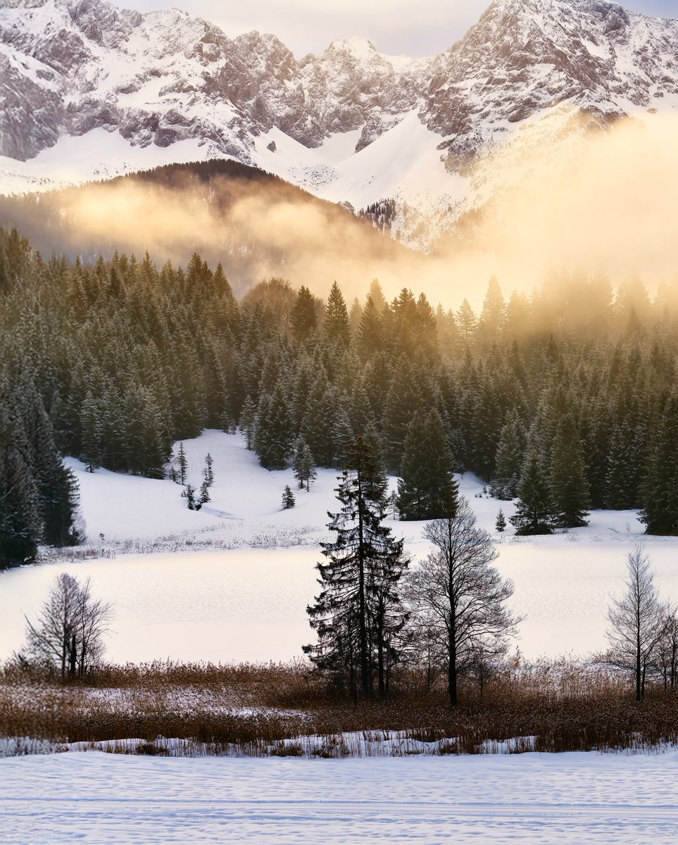 NatureMuse_'s tweet photo. https://t.co/dF7j7nJSHx
