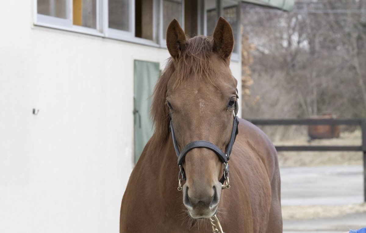 株式会社エクワインレーシング tweet media