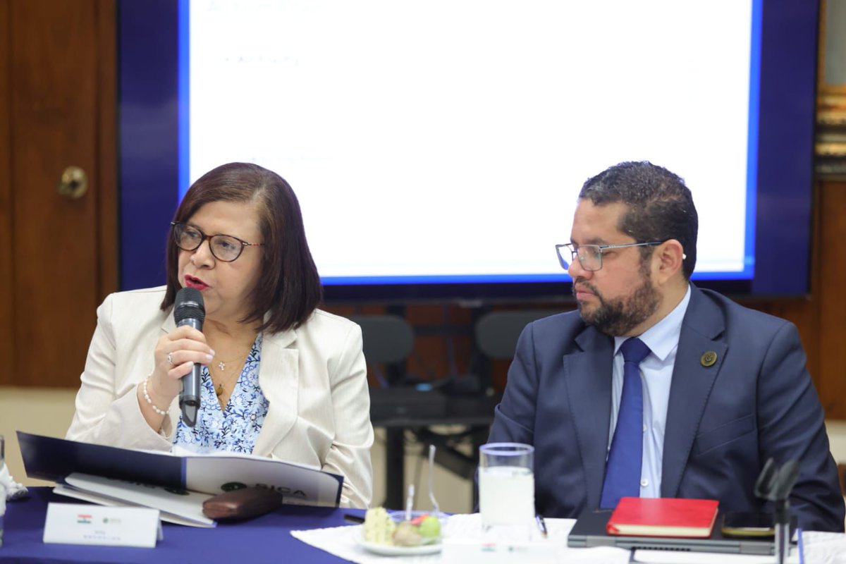 sitca_turismo's tweet photo. La #SITCA participó en la Reunión de Seguimiento del Plan de Acción #SICA–India 🤝, impulsando proyectos de cooperación en gestión sostenible del patrimonio natural y cultural 🏛️🌿, alineados con la #PRETUR, junto a autoridades del Ministerio de Asuntos Exteriores de la India 🇮🇳 https://t.co/yh7sE6y1G2