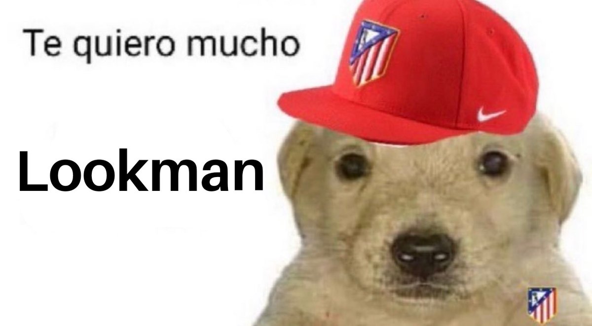 Toni🔴⚪(2,2% enjoyer) (@tonigonzlz) on Twitter photo 