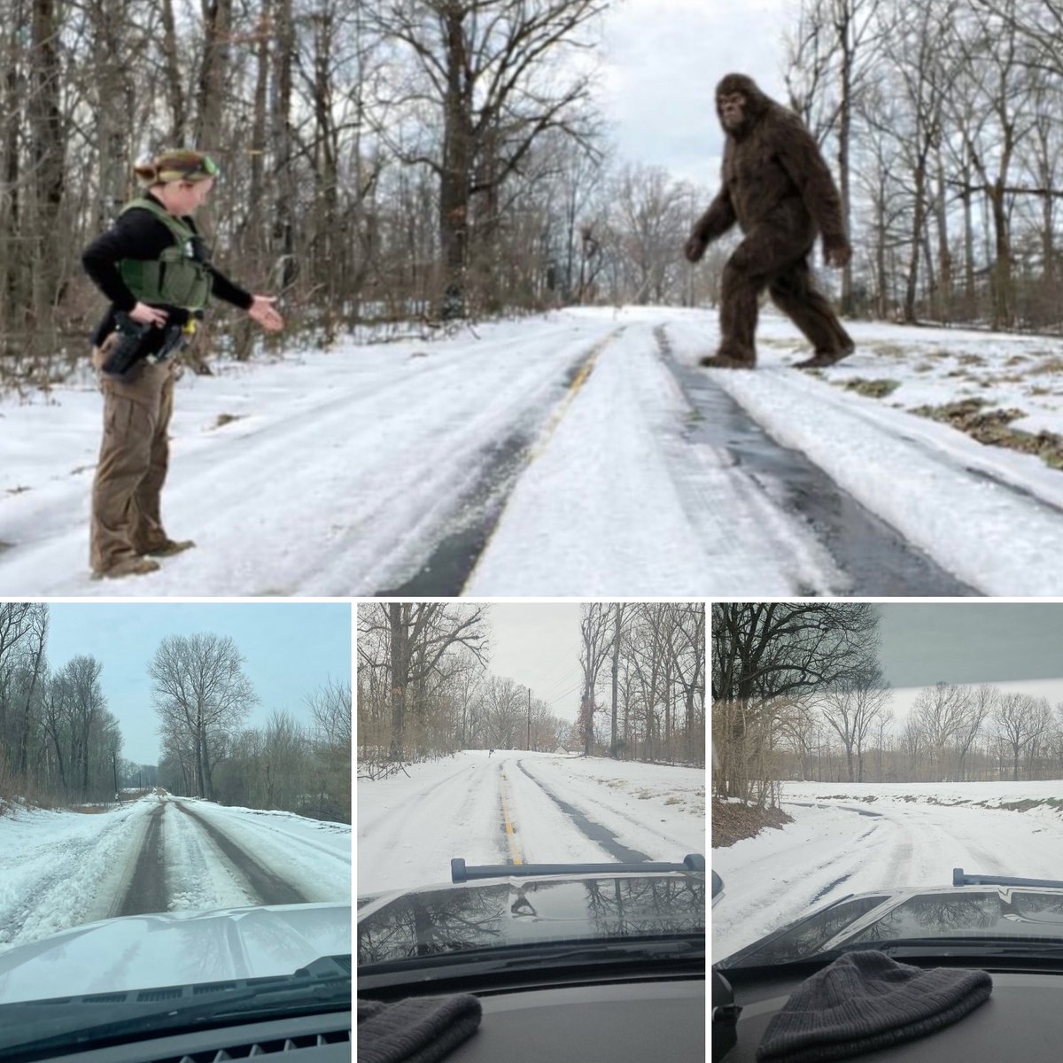 Tipton Co Schools tweet media