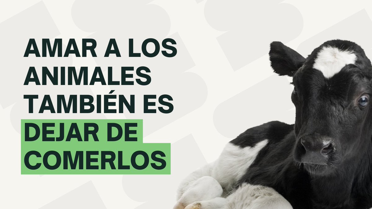 Pueden criticar el veganismo, llamarlo moda o exageración. Pero amar a los animales no es solo admirarlos, también es dejar de dañarlos cuando existe otra opción. SER #VEGANO