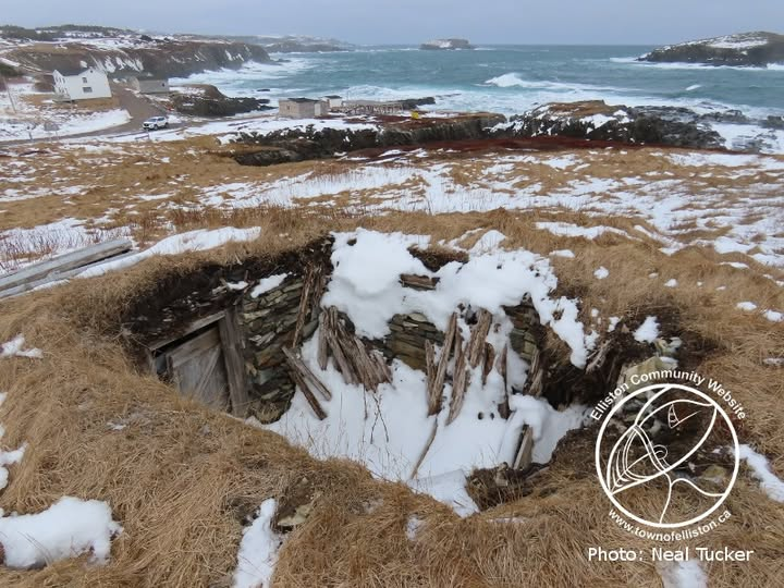 Town of Elliston tweet media