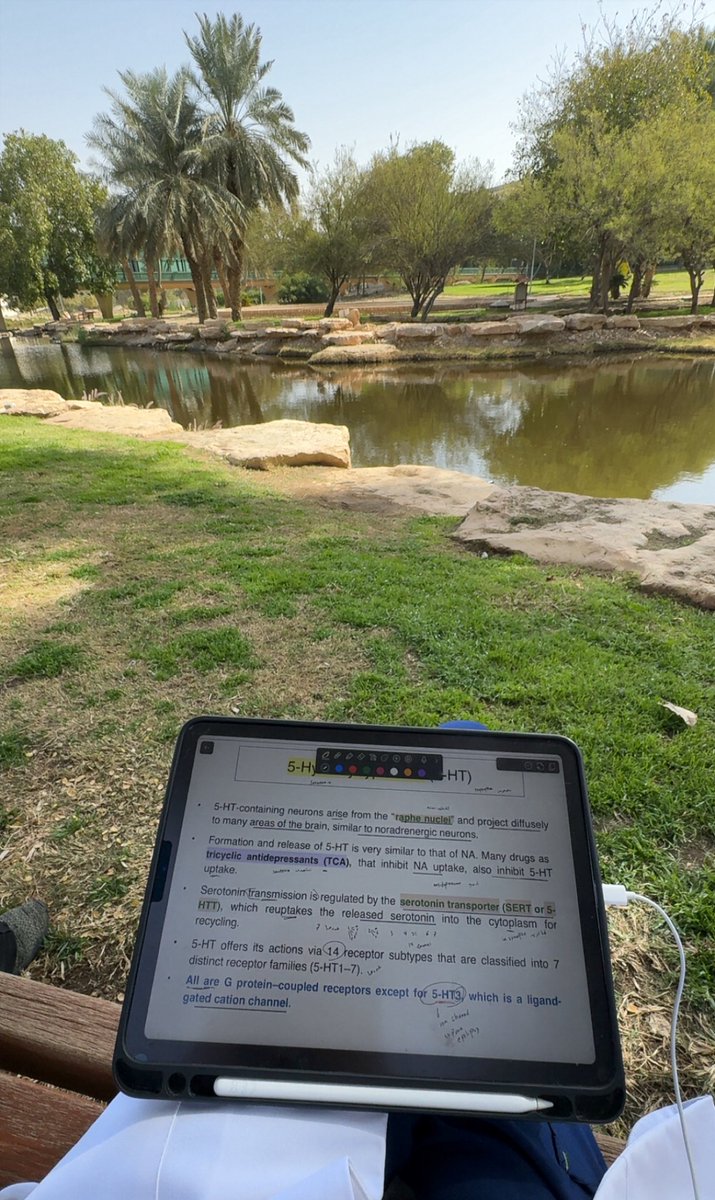 Farah Alharbi tweet media