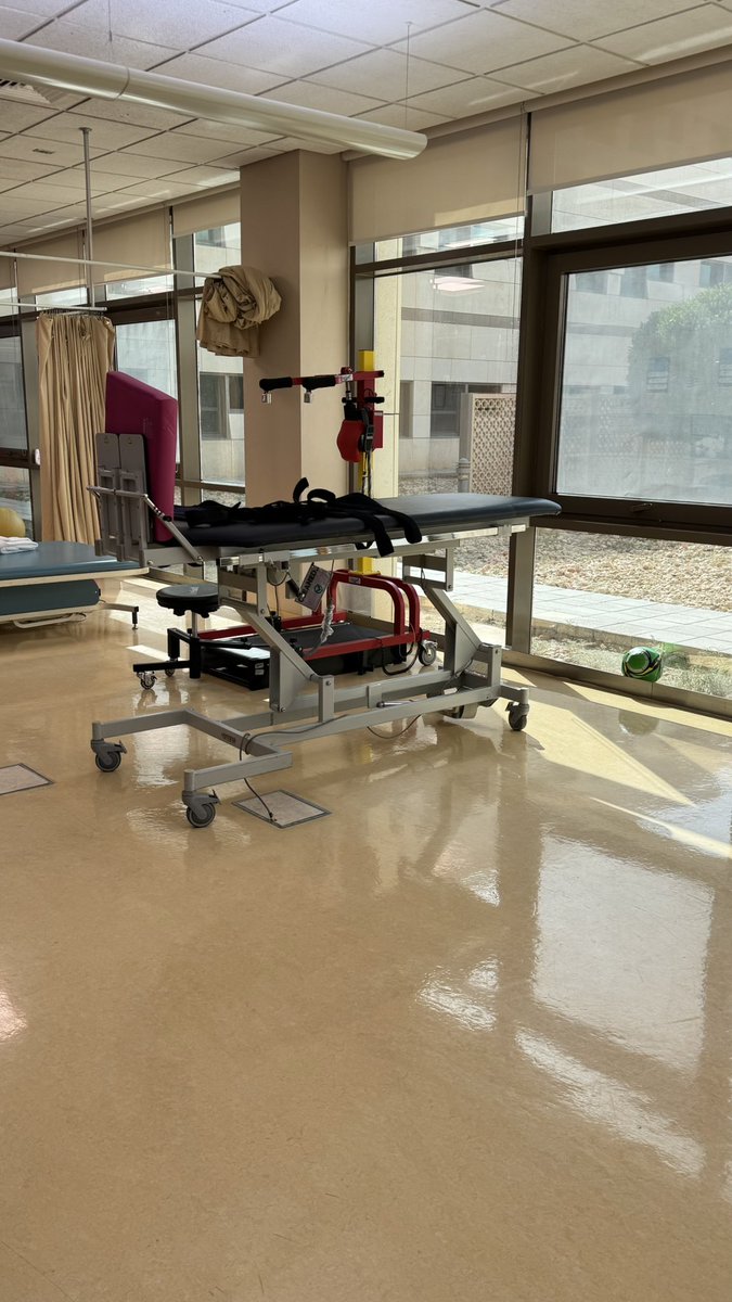 Farah Alharbi tweet media