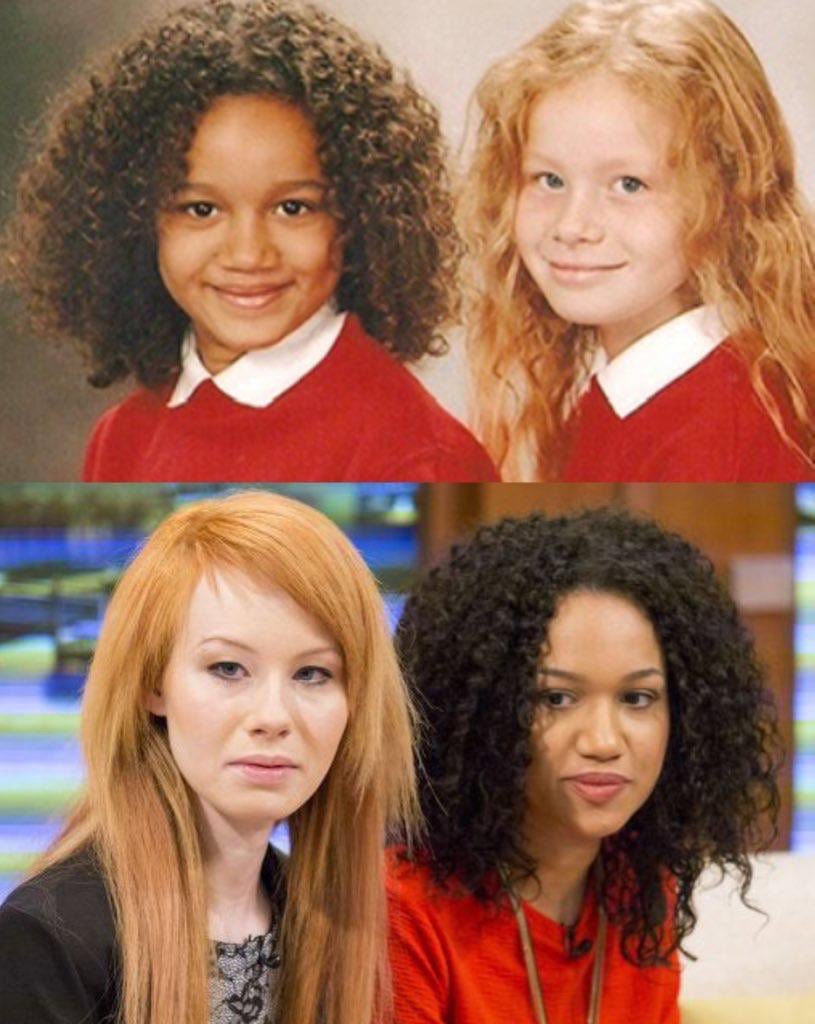 Global Folder tweet media