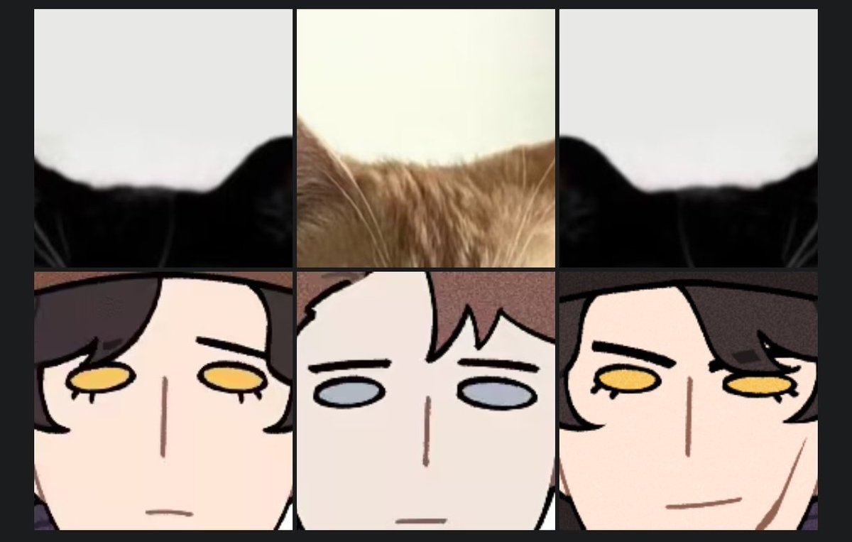 Koelzer (@3464552691k) on Twitter photo 