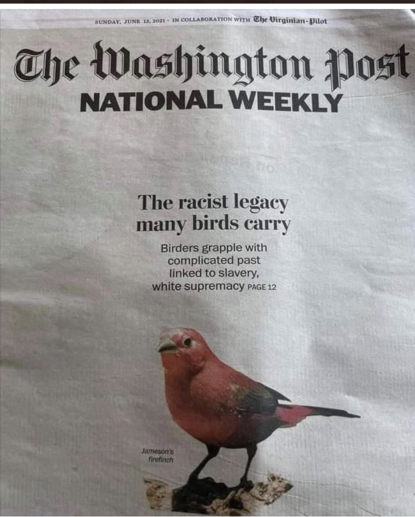 ArthurReturnss's tweet image. The mass layoffs at The Washington Post are unfortunate, but then I remember articles like this and think it's for the best.
