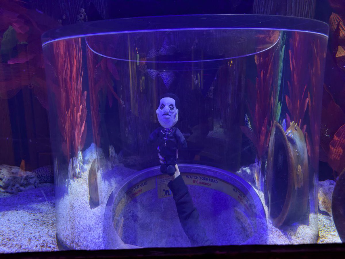 CopiaInChains's tweet image. Took Frater to the aquarium 🐠 w/ @wobbleforge

and thank you to the lovely ghesties who saw us and gave us some bracelets 🥰 mine happens to match my nails