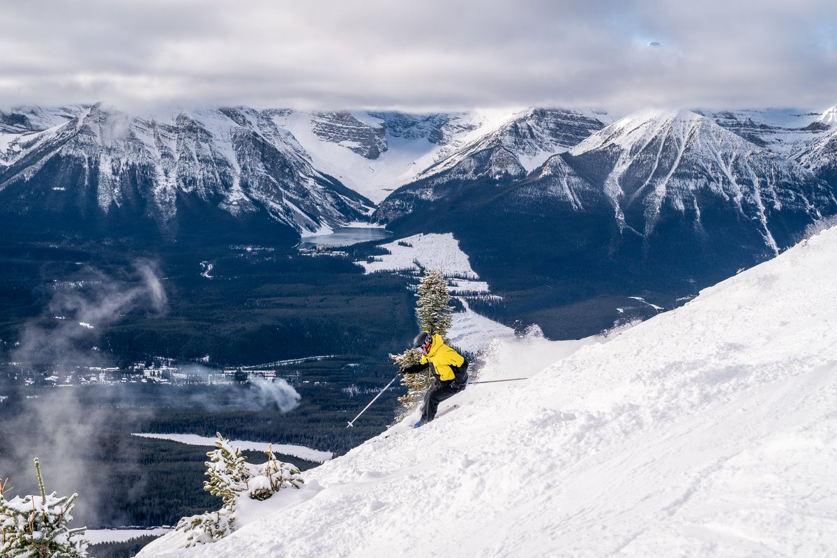 FREESKIER magazine tweet media