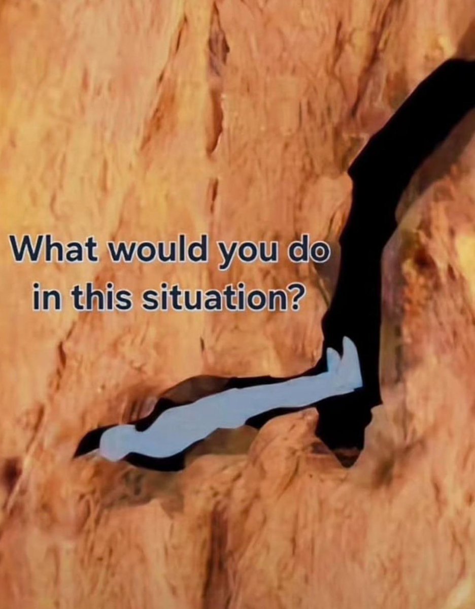 Liberta Cherguia 🇪🇺 tweet media