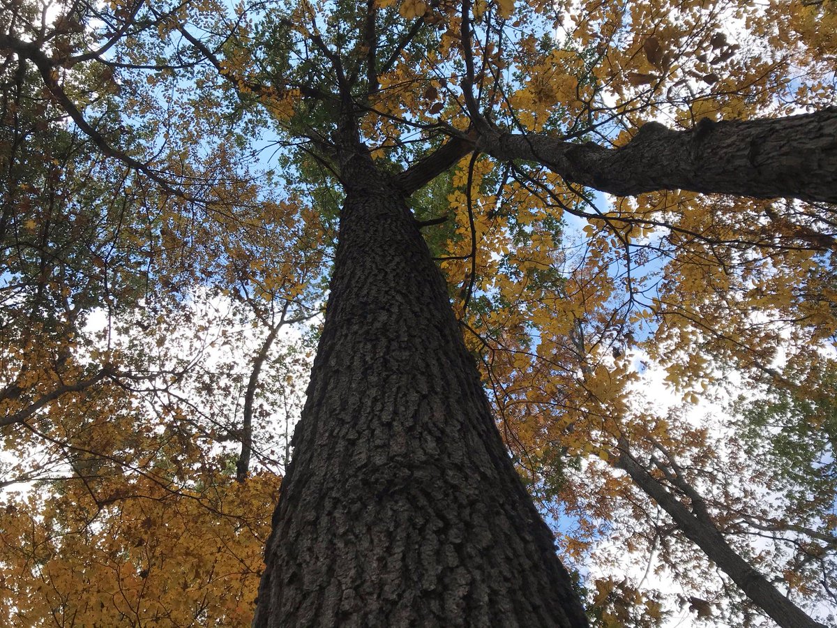 Sonia Eden tweet media