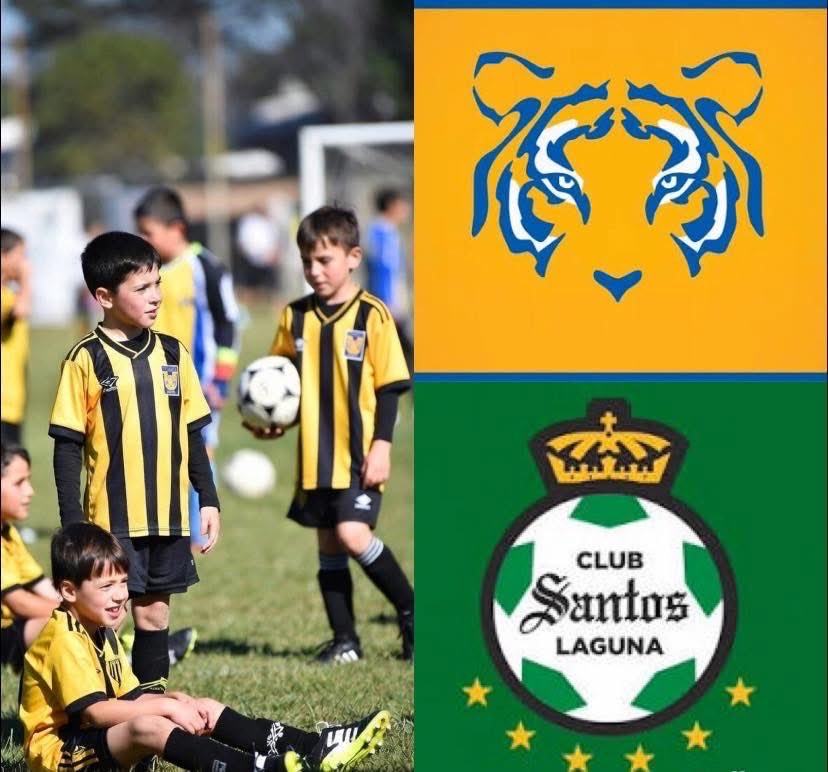 ¡DE ÚLTIMO MOMENTO! 😱‼️🇳🇬🐯

Para el juego ante SANTOS, los Tigres analizarían alinear a su SUB 13 para tener un juego más parejo.