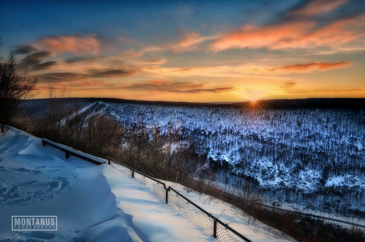 James Montanus tweet media