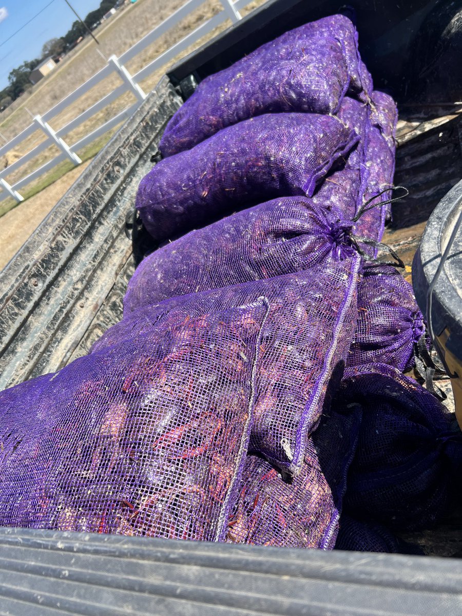 CajunAsian tweet media