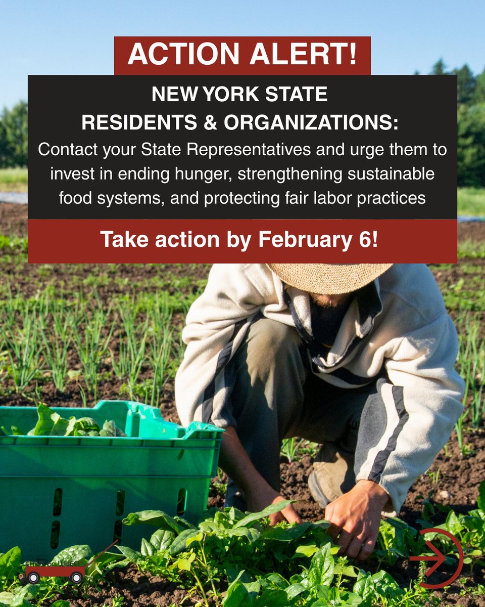 ChilisonWheels's tweet photo. 🚨 ACTION ALERT: Join us to demand a more equitable &amp; just food system in #NewYork! We’re calling on individuals and organizations in New York State to urge State Legislators to invest in ending hunger, strengthening #sustainable food systems, and protecting fair labor practices. https://t.co/fPTjyDa4ub