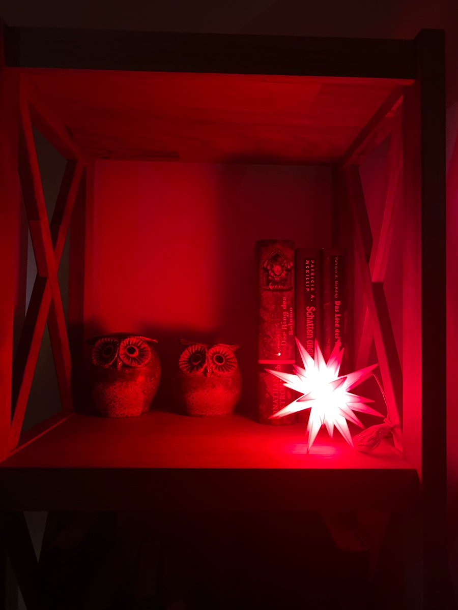 Das neue Bücherregal in äußerst schummriger, noch quasi weihnachtlicher Beleuchtung.
(Der Stern bleibt definitiv das ganze Jahr.)