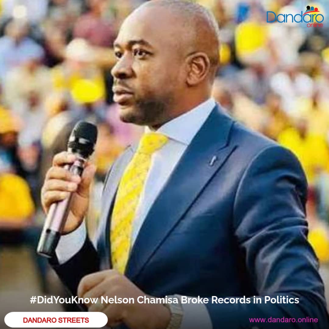 Dandaro Online tweet media