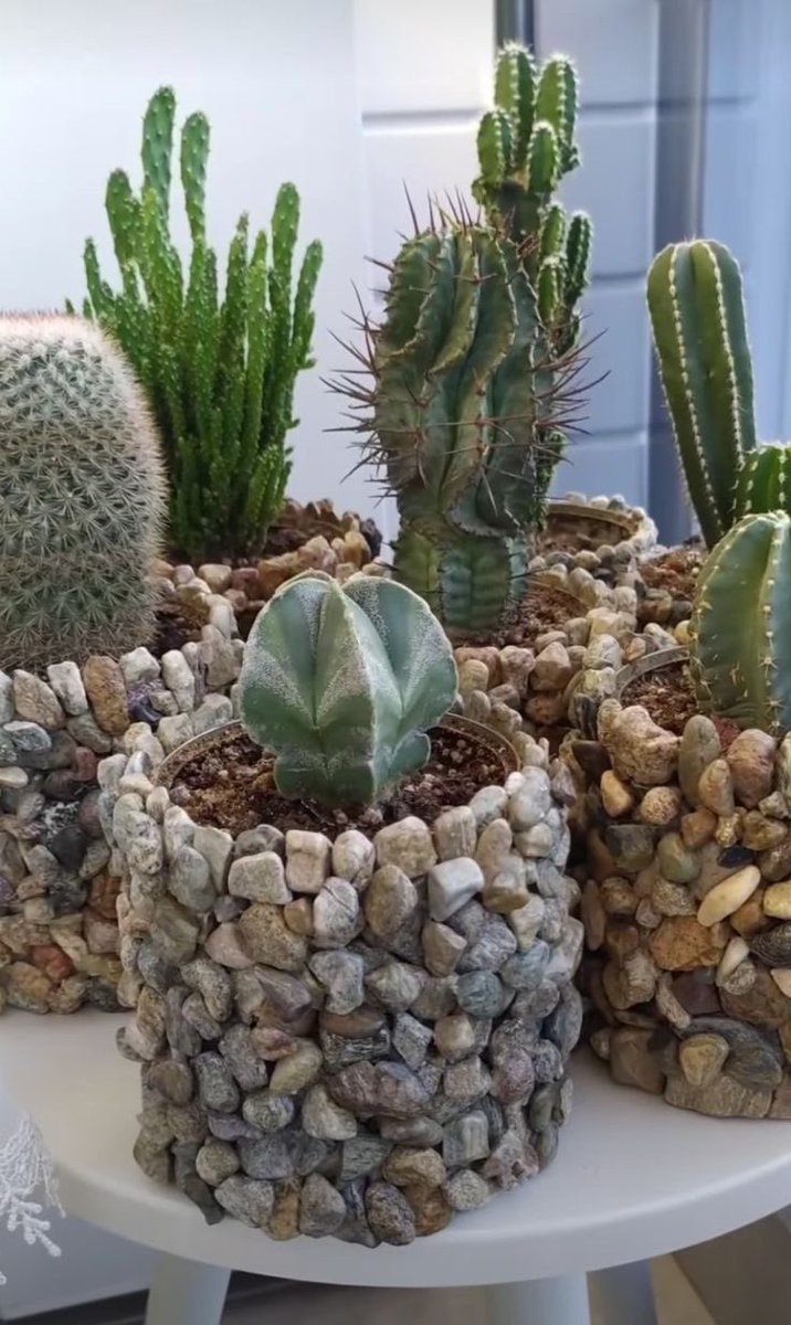 apriliosluxury's tweet image. Built from stone. Alive with silence.

Minimal doesn’t mean lifeless.

#desertmood