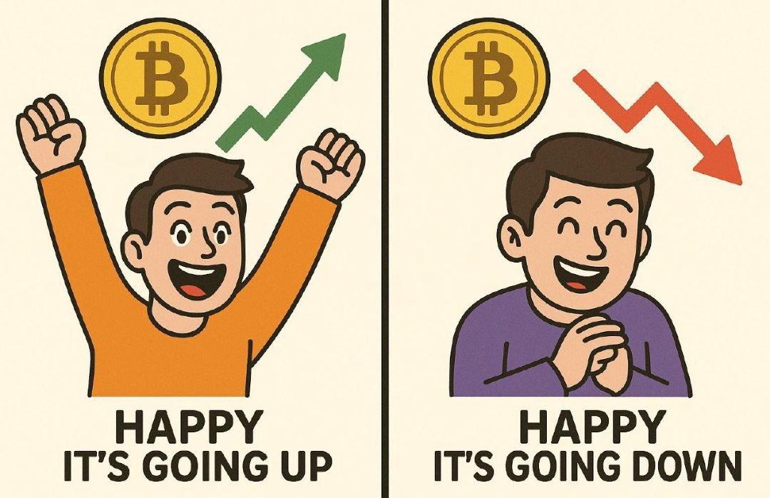 Infinite Insights tweet media