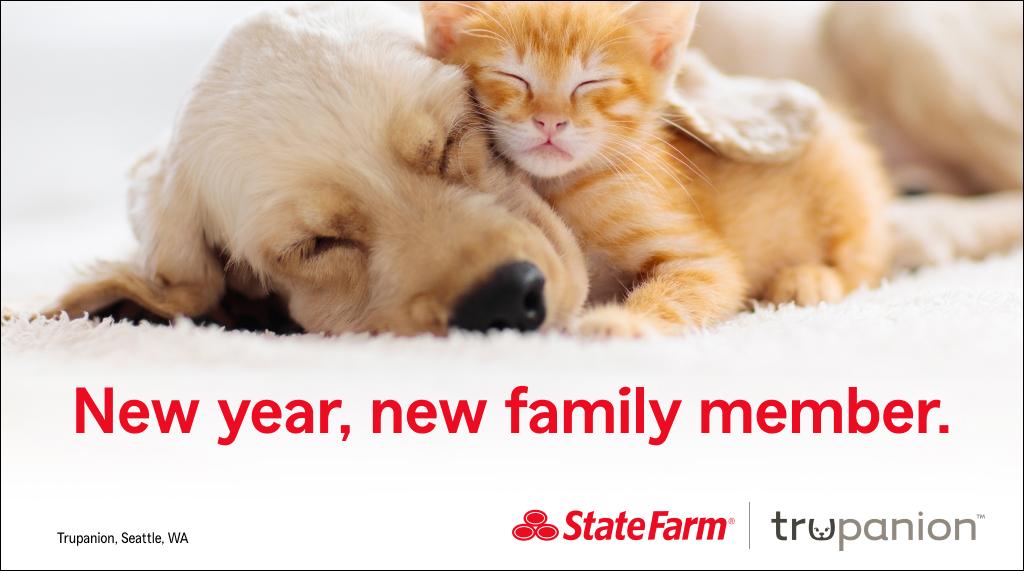 StateFarmCA's tweet image. If you’re adding a furry friend to the family this year, here are some tips to help keep them healthy and happy. And don’t forget to contact me about helping protect them with Trupanion!

st8.fm/4tpdY0s