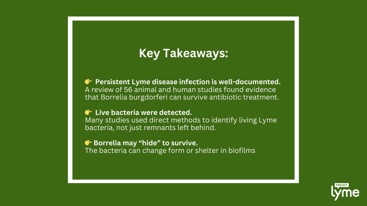ProjectLyme's tweet photo. 3/4 After examining 56 animal and human studies, researchers found repeated evidence that:

👉 Live bacteria can persist for months or years after treatment with antibiotics, according to direct tests that look for living organisms, not genetic fragments https://t.co/tWYLoJIHqR