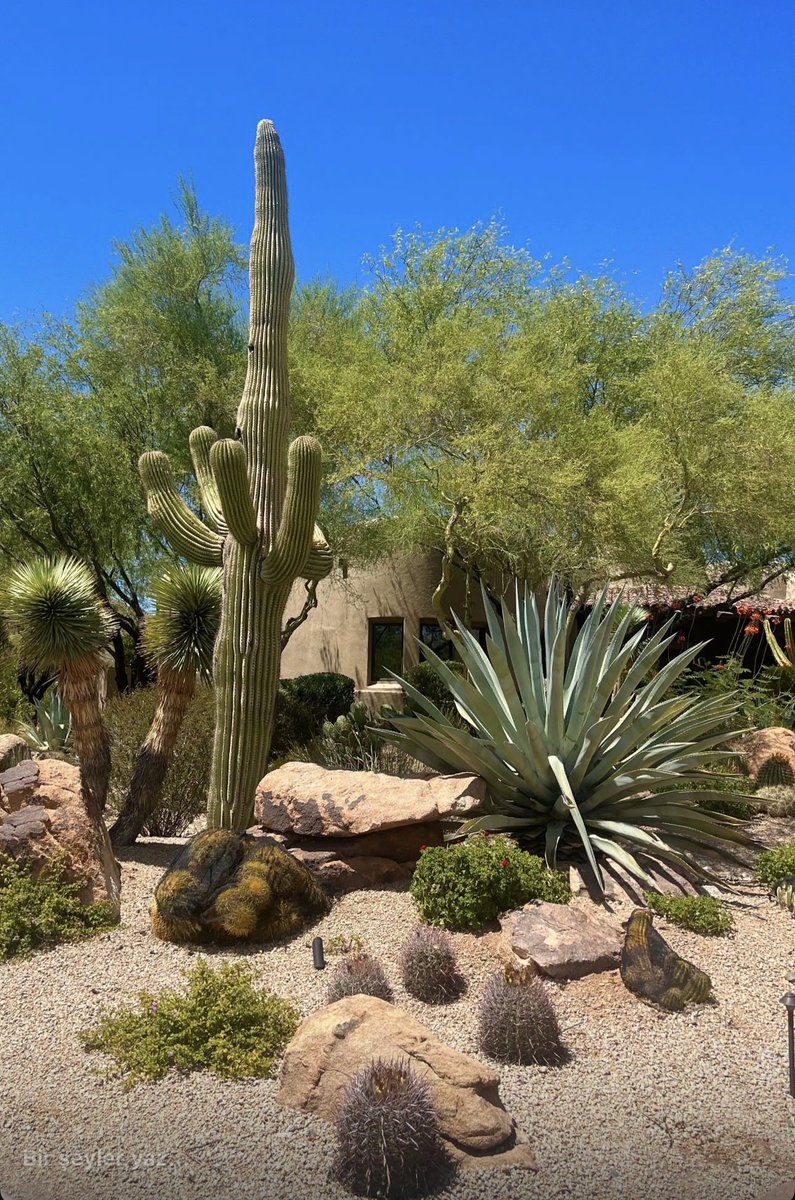 ailhame's tweet photo. 📍Phoenix/Arizona https://t.co/vKm8SFT3vW