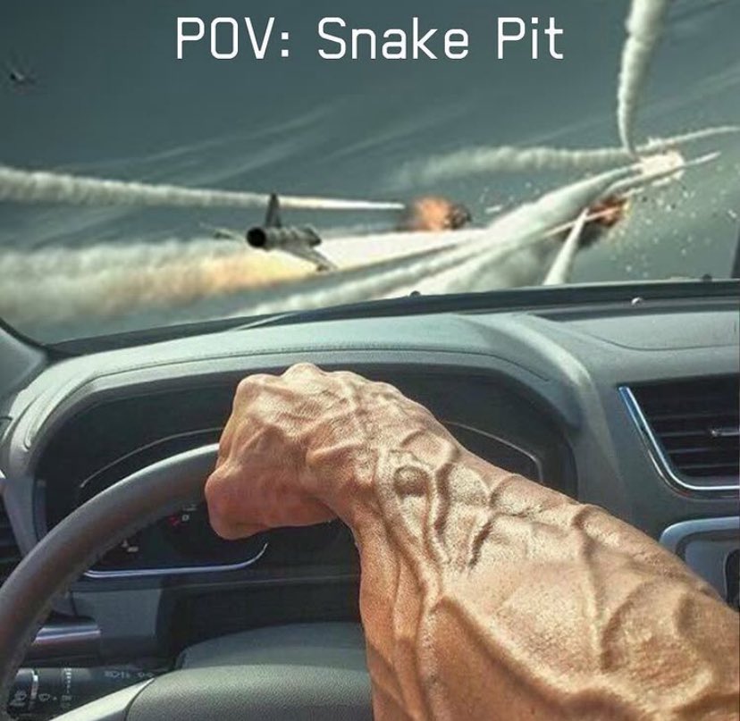 the allied protagonist in ace combat 7 and 8 will never move like Snake Pit and Flagship Marigold were

they’ve forgotten how to write memorable allied units