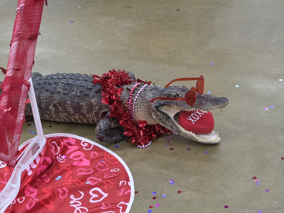 TheScrapbookist tweet media