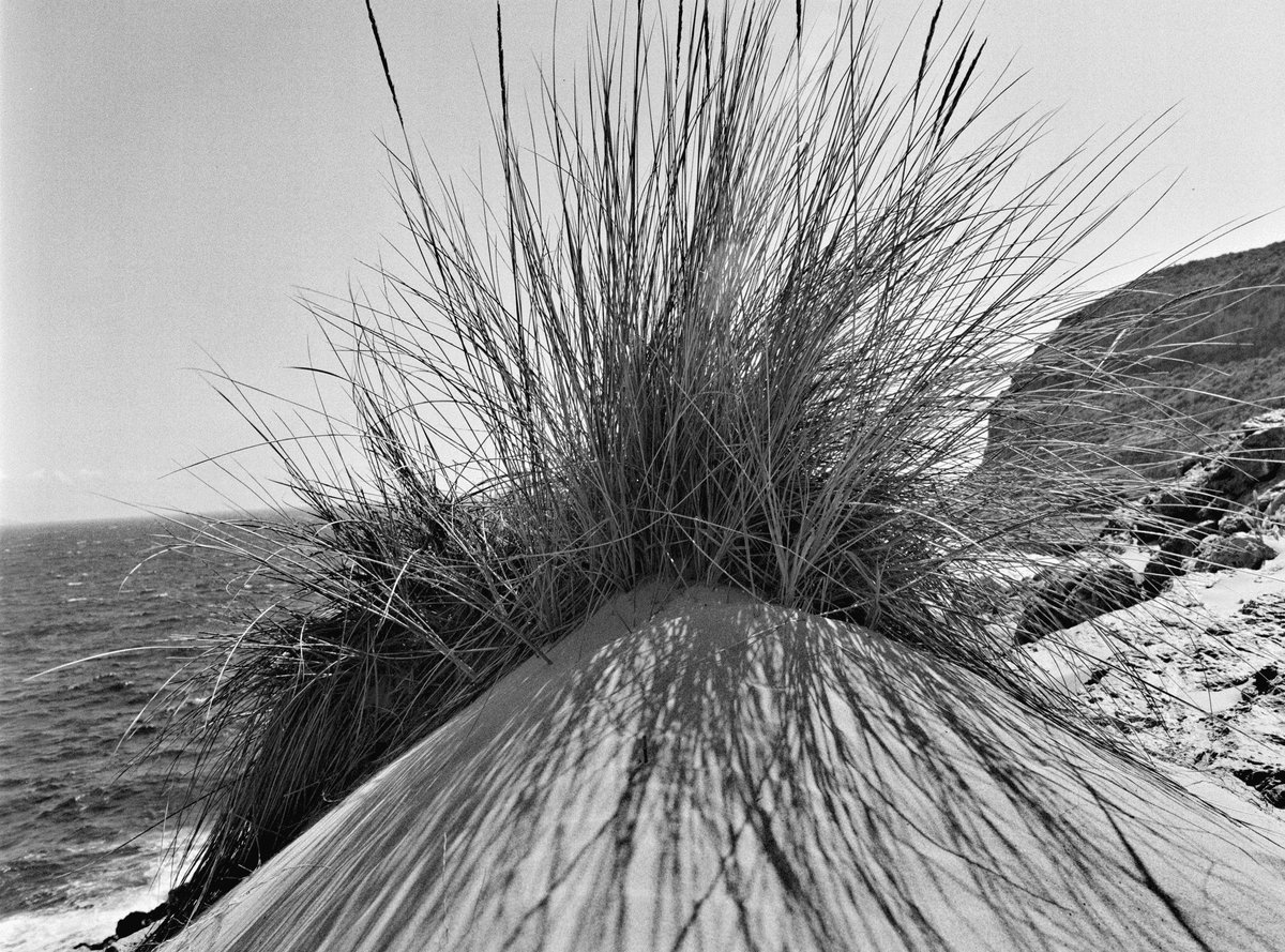 When I travel, I'm always collecting textures like this.

#bronicaetrs #trix400  #mediumformat #shootfilm