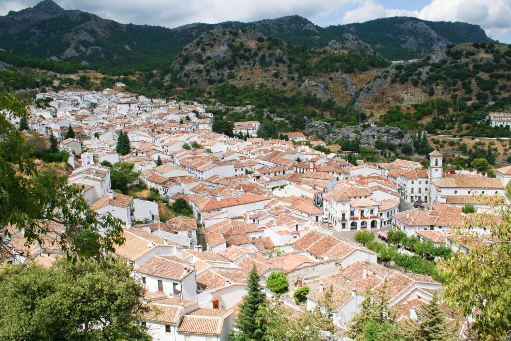 El paleto este se cree que Grazalema es un pueblo repleto de urbanizaciones hechas sin ton ni son. Vamos una Torrevieja o una Gandía. 

Se aprenden una cosica y tiran toda la vida. 

Grazalema y sus licencias en zonas inundables: