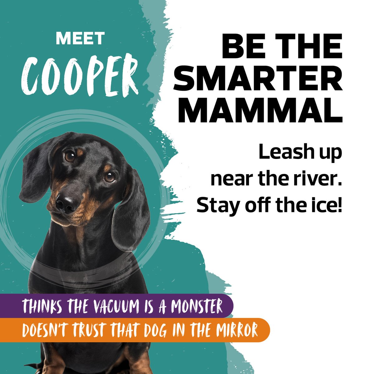 Edmonton Fire Rescue Services tweet media