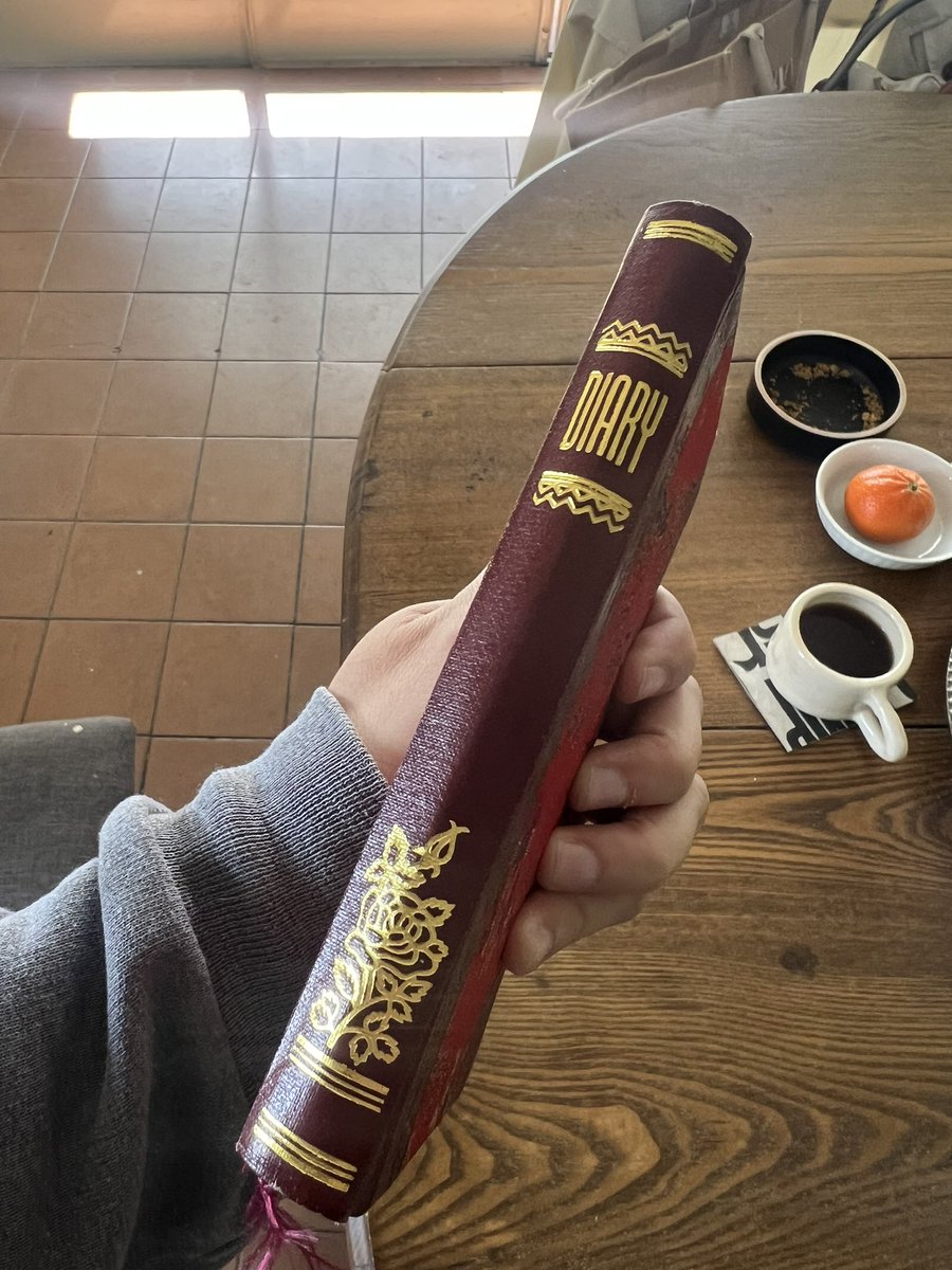 Encontré este diario en los libros usados. Tiene apenas dos o tres páginas escritas. «Cuídame dios de mí».