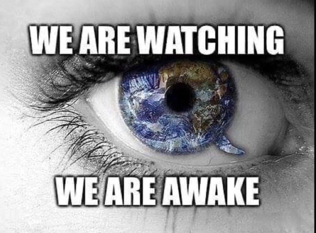 September Avila tweet media