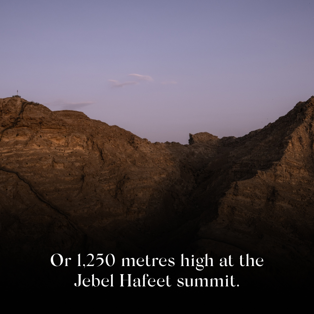 BBC StoryWorks tweet media