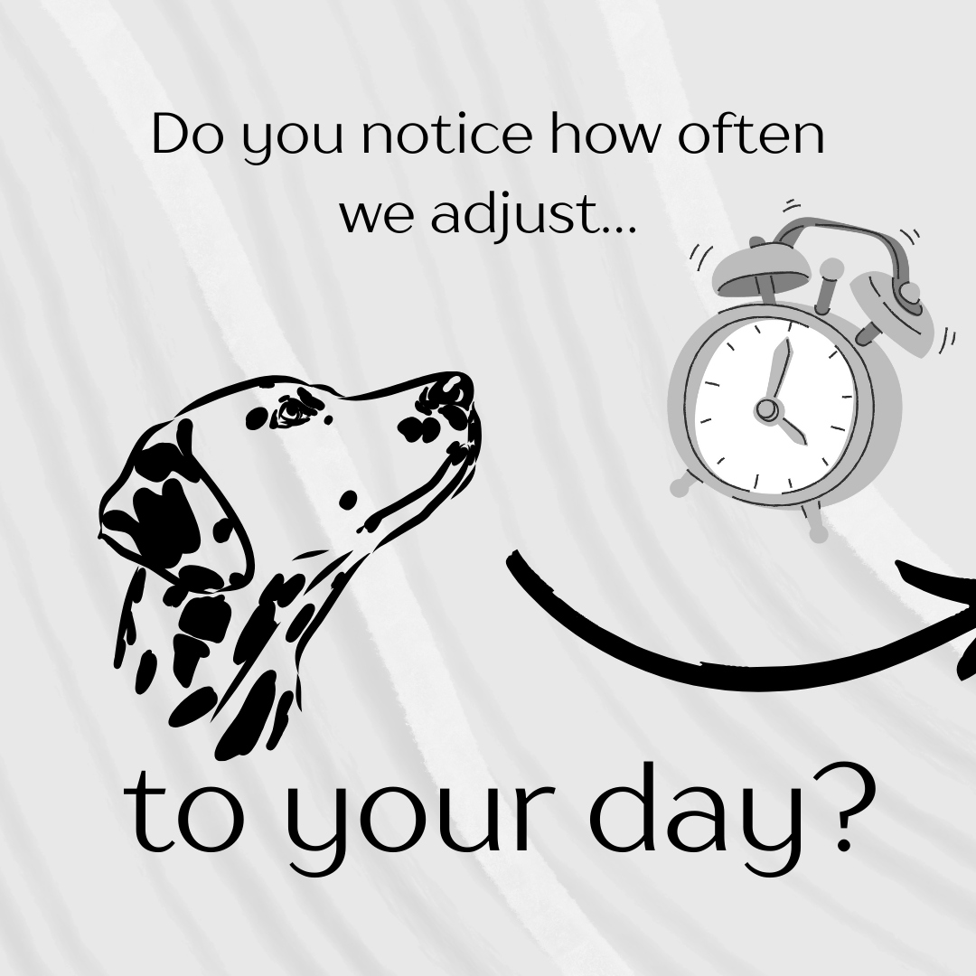 YourpetsPOV's tweet photo. POV: your pet trying to understand your work-from-home schedule.
Consistency helps us relax. Clear signals help us settle.
👉 Save this if your pet lives your work-from-home life with you
#PetAwareness #PetParents #LifeWithPets #WorkFromHome #WFHWithPets #PetPOV #petstory #fyp https://t.co/rLXEnfIpM6