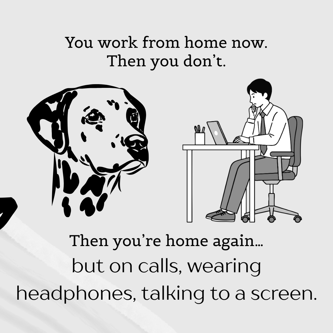 YourpetsPOV's tweet photo. POV: your pet trying to understand your work-from-home schedule.
Consistency helps us relax. Clear signals help us settle.
👉 Save this if your pet lives your work-from-home life with you
#PetAwareness #PetParents #LifeWithPets #WorkFromHome #WFHWithPets #PetPOV #petstory #fyp https://t.co/rLXEnfIpM6