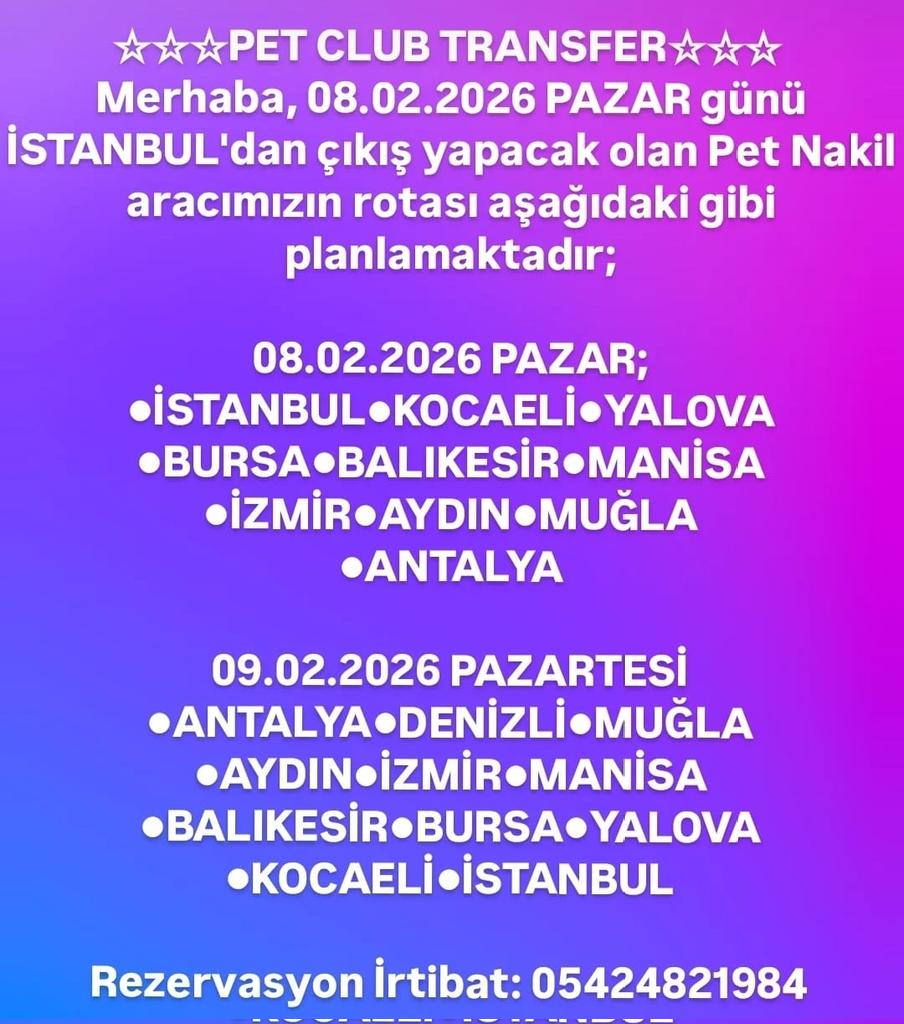 Yasemin Var can pati tweet media