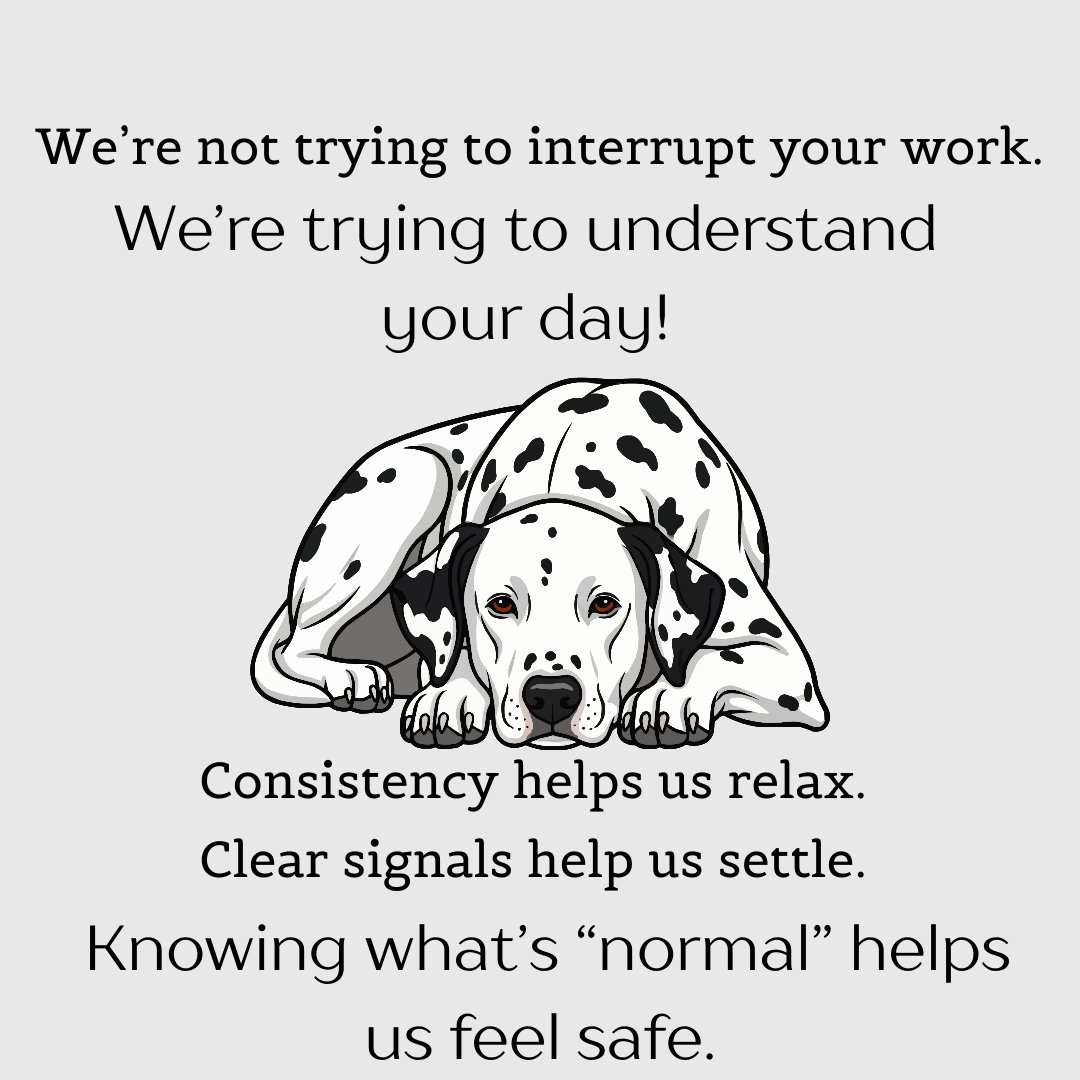 YourpetsPOV's tweet photo. POV: your pet trying to understand your work-from-home schedule.
Consistency helps us relax. Clear signals help us settle.
👉 Save this if your pet lives your work-from-home life with you
#PetAwareness #PetParents #LifeWithPets #WorkFromHome #WFHWithPets #PetPOV #petstory #fyp https://t.co/rLXEnfIpM6