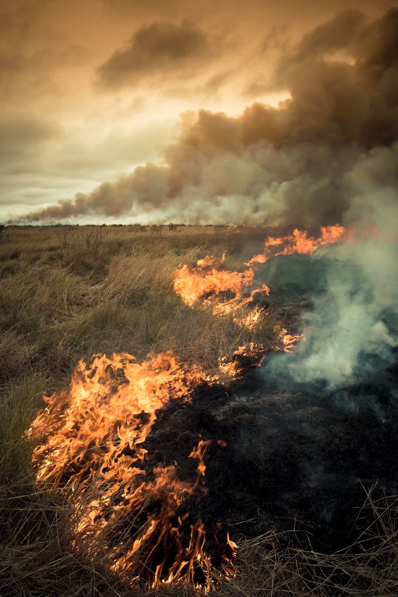 USFWS Fire (Archived) tweet media