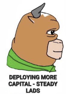 Dangle libtards from a moving helicopter Groyper tweet media