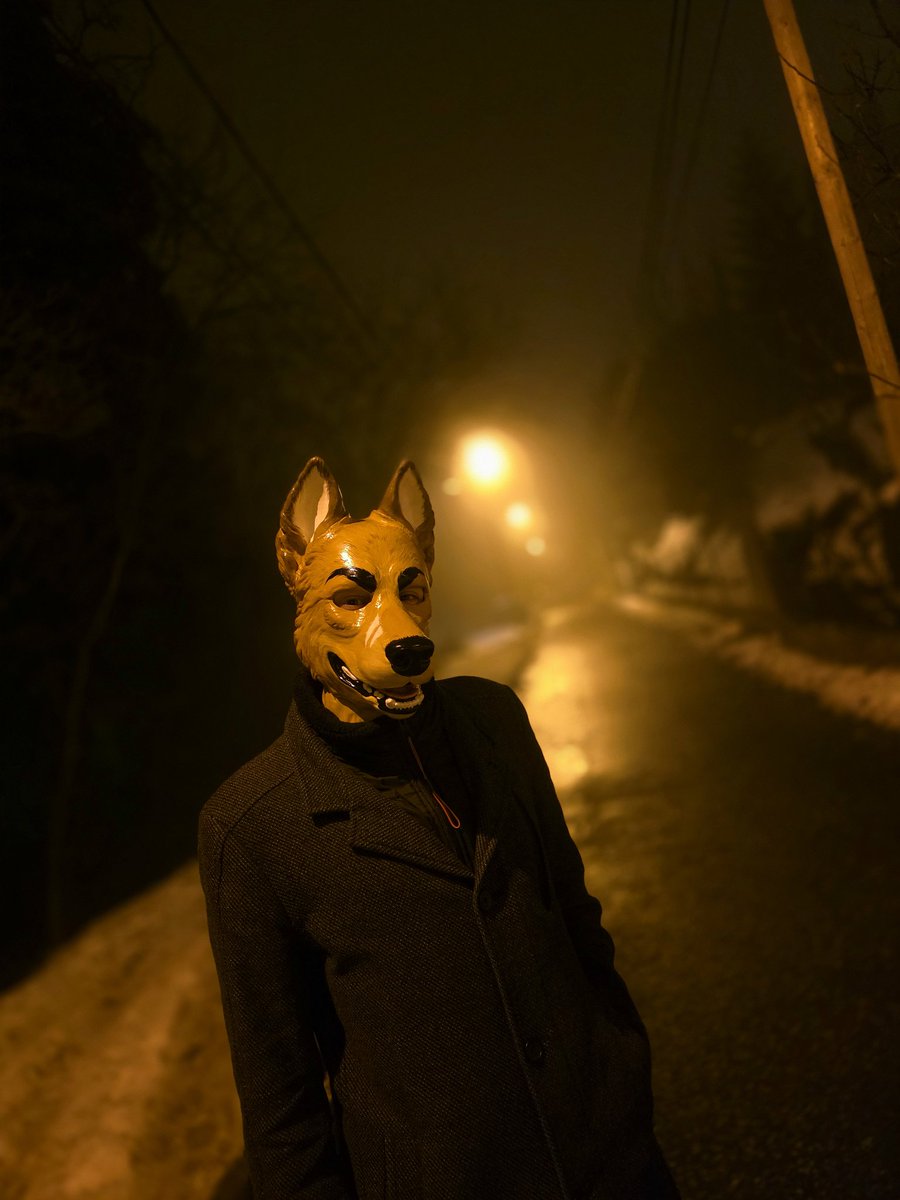 Care to join me on this foggy night walk?

📸:<a href="/Purby5/">Purby</a>