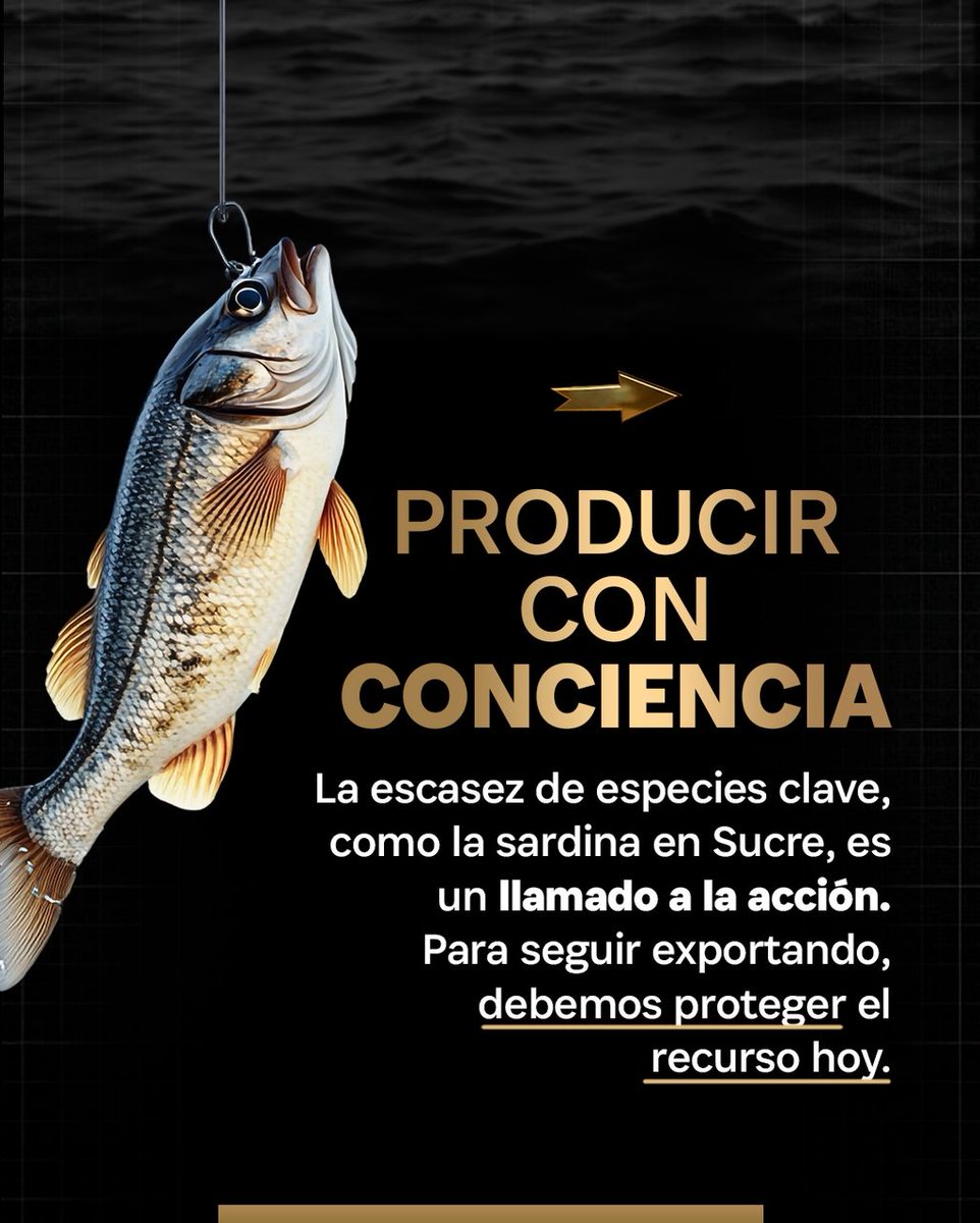 ¡Nuestras costas están haciendo historia! 

Hoy en pleno 2026, el sabor de nuestro mar ya está llegando a mesas tan lejanas como las de Túnez y Chile. 

No solo enviamos productos, enviamos el esfuerzo de nuestras comunidades pesqueras que ahora exportan con orgullo pulpo y algas