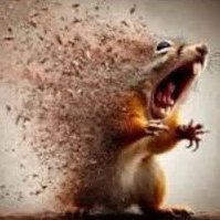 Zane Hengsperger tweet media