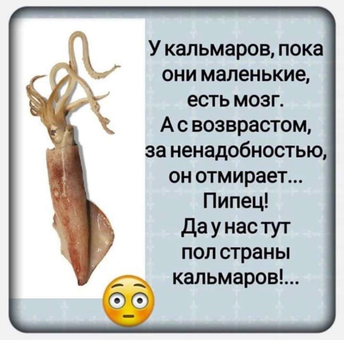 Пьяный Твиттер (@drunktwi) on Twitter photo 