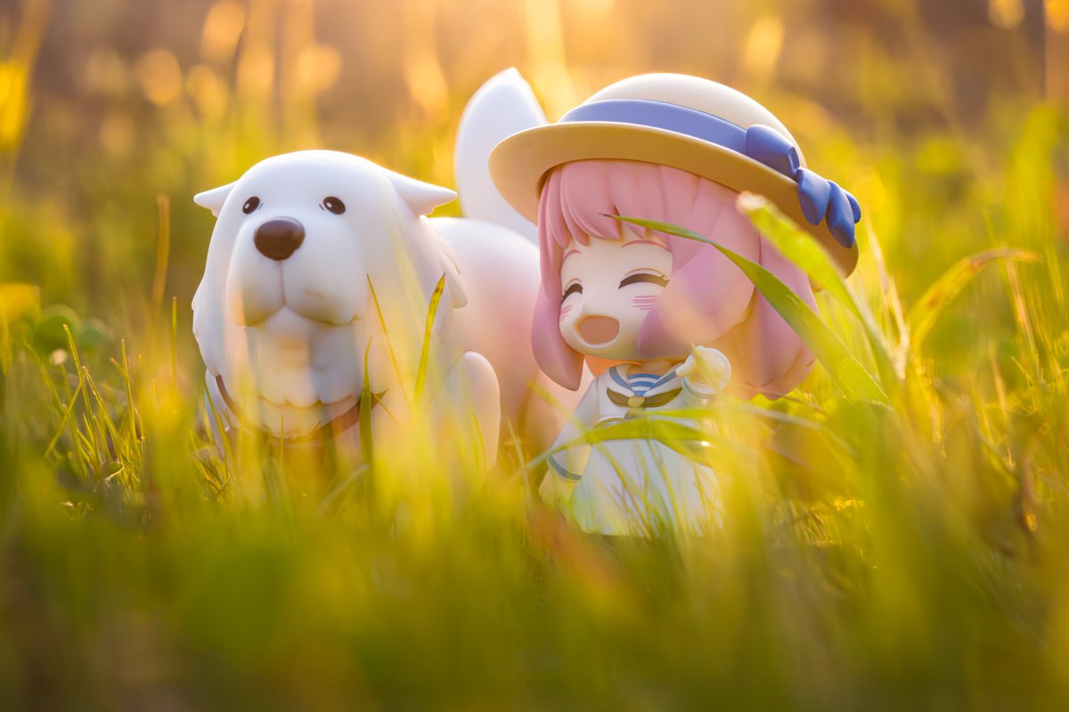 陶格曼 tweet media