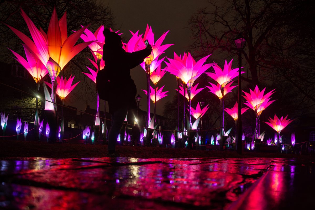 SPECTRA Festival tweet media